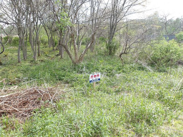 Land for Sale in Tomakomai, Hokkaido - 290 sqm Vacant Lot - Thumbnail 2