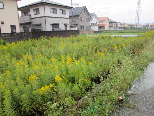 772 sqm Land for Sale in Sano City, Tochigi - Thumbnail 2