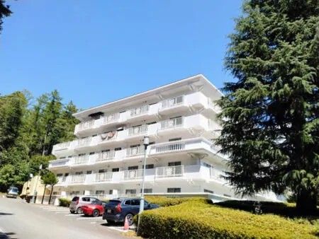 2LDK Resort Condo in Hokuto City Forest, Yamanashi - Thumbnail 2