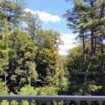 2LDK Resort Condo in Hokuto City Forest, Yamanashi - Thumbnail 3