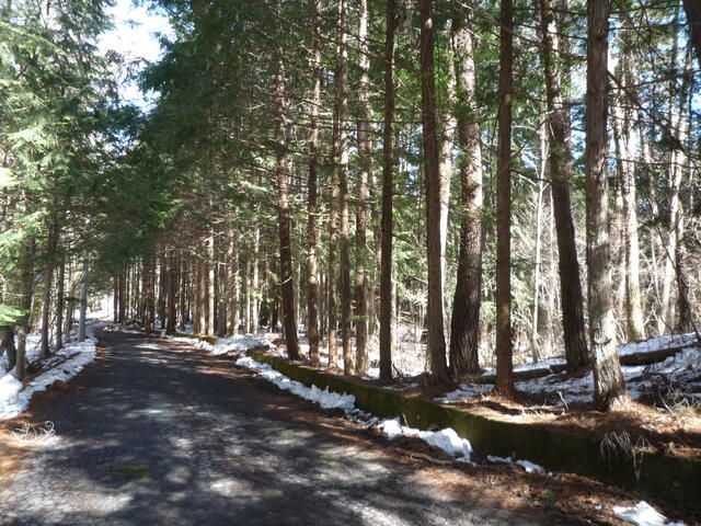 Land for Sale in Fujikawaguchiko with Mount Fuji Views - Thumbnail 2