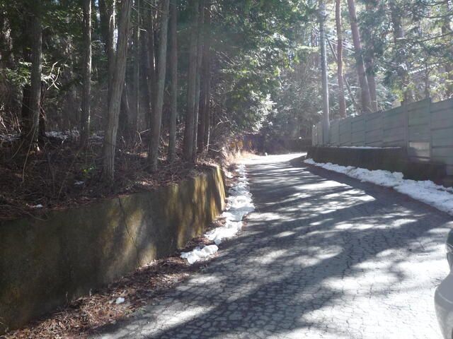 Land for Sale in Fujikawaguchiko with Mount Fuji Views - Thumbnail 3