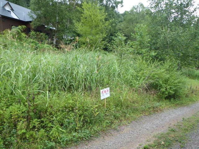 Vacant Land for Sale in Nanae Town, Hokkaido - 141 sqm Plot - Thumbnail 4
