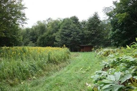 7,274 Tsubo Land for Sale on Lake Kussharo's Wakoto Peninsula - Thumbnail 3