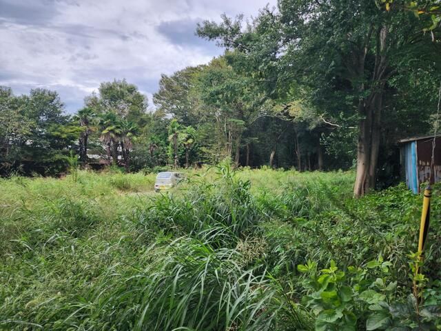 Land for Sale in Wakaba Ward, Chiba City - 892.55 sqm - Thumbnail 2