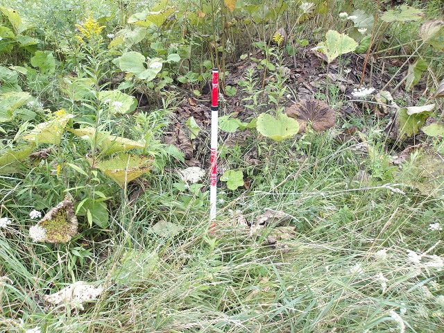 Land for Sale in Minami-ku, Sapporo, Hokkaido - 186 sqm - Thumbnail 3