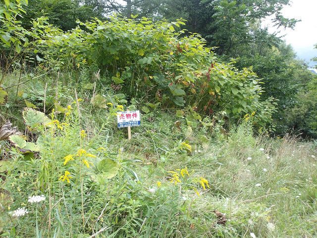 Land for Sale in Minami-ku, Sapporo, Hokkaido - 186 sqm - Thumbnail 2