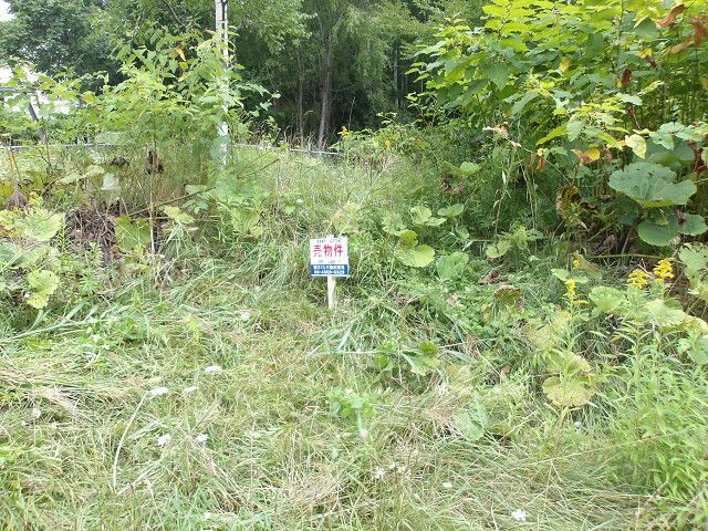 Land for Sale in Minami-ku, Sapporo, Hokkaido - 186 sqm - Thumbnail 4