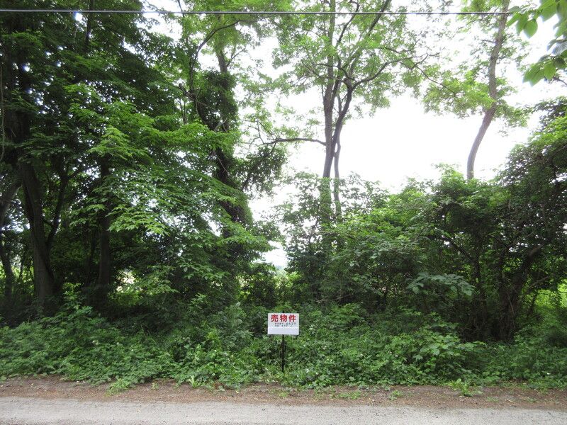 Land for Sale in Inawashiro, Fukushima - 499 sqm - Thumbnail 2