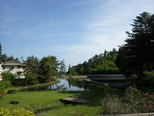 Land for Sale in Shirakawa City, Fukushima - 273 sqm - Thumbnail 4