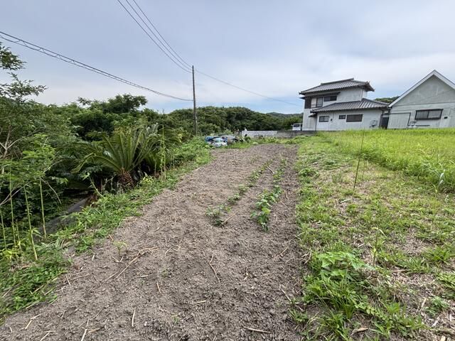 Land for Sale in Tateyama, Chiba - 148.76 sqm Hilltop Plot - Thumbnail 2
