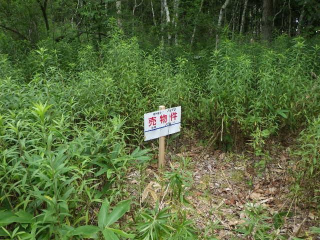 198 sqm Land for Sale in Chitose City, Hokkaido - Thumbnail 2