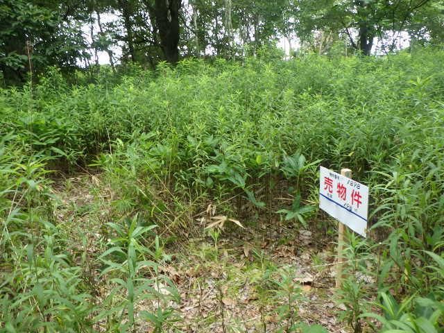 198 sqm Land for Sale in Chitose City, Hokkaido - Thumbnail 4