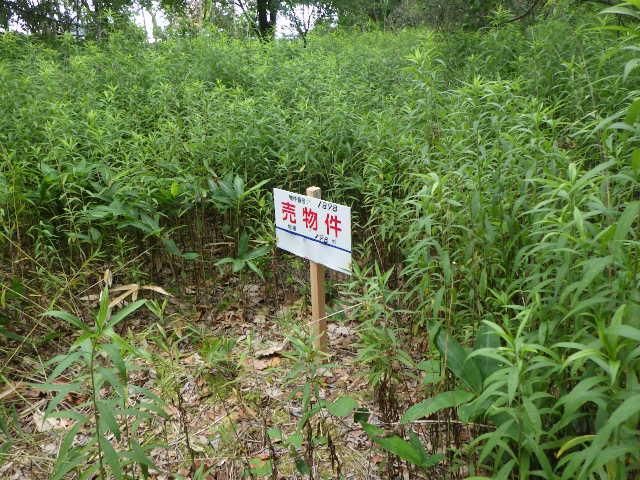 198 sqm Land for Sale in Chitose City, Hokkaido - Thumbnail 3