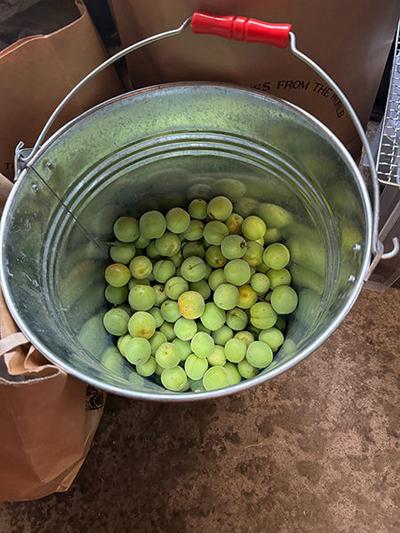 A house with a dirt floor on top of a village with a view of Mt. Goba right in front of you: Villas, Real Estate, Properties for Sale, Hometown Information Center: Nationwide Country Living Property Data — Image 3, Shimonita, Gunma