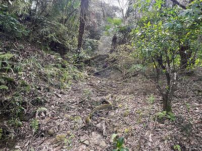 Renovated single-story house in the back of a village surrounded by forests: Villas, real estate, properties for sale, Hometown Information Center: Nationwide rural living property data — Land, Mutsuzawa, Chiba