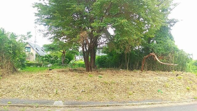 237 sqm Land for Sale in Nikko, Tochigi – Build Your Home - Thumbnail 3