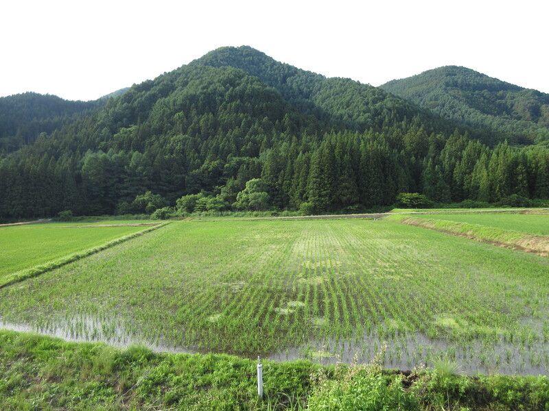 200 sqm Residential Land for Sale in Inawashiro, Fukushima - Thumbnail 3