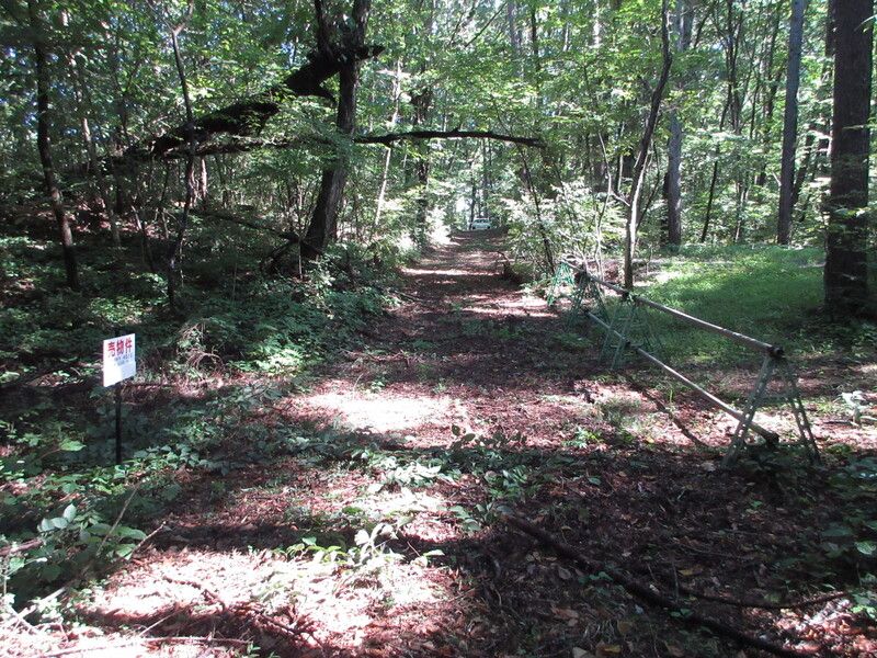 Land for Sale in Kitakaruizawa, Naganohara Town, Gunma - 330 sqm - Thumbnail 4