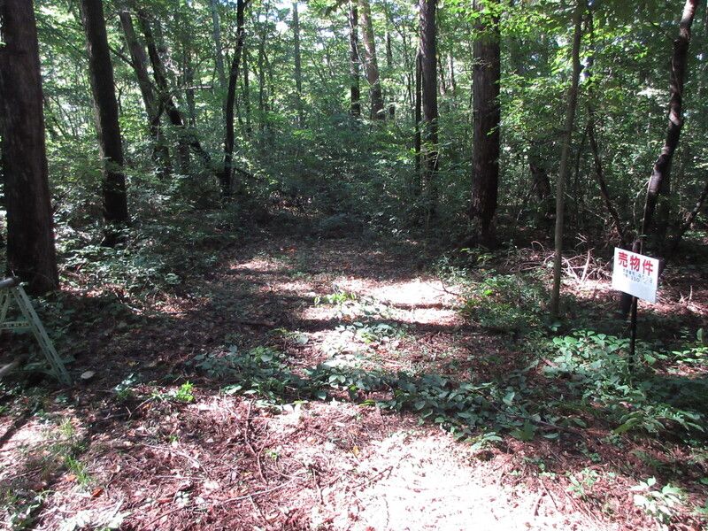 Land for Sale in Kitakaruizawa, Naganohara Town, Gunma - 330 sqm - Thumbnail 2