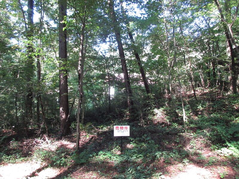 Land for Sale in Kitakaruizawa, Naganohara Town, Gunma - 330 sqm - Thumbnail 3
