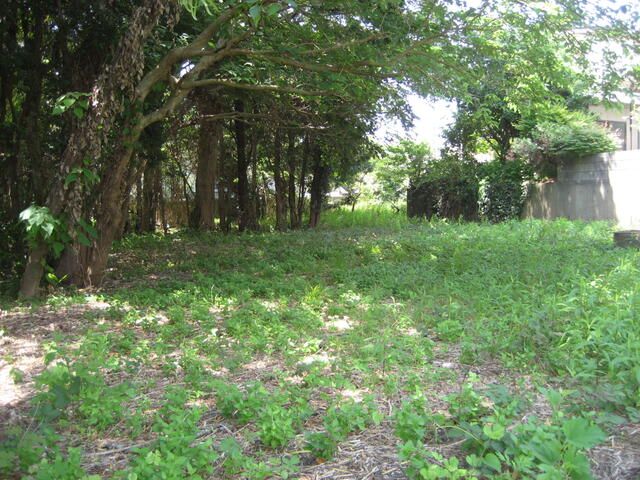 Land for Sale in Minamiboso City, Chiba - 437 sqm - Thumbnail 4