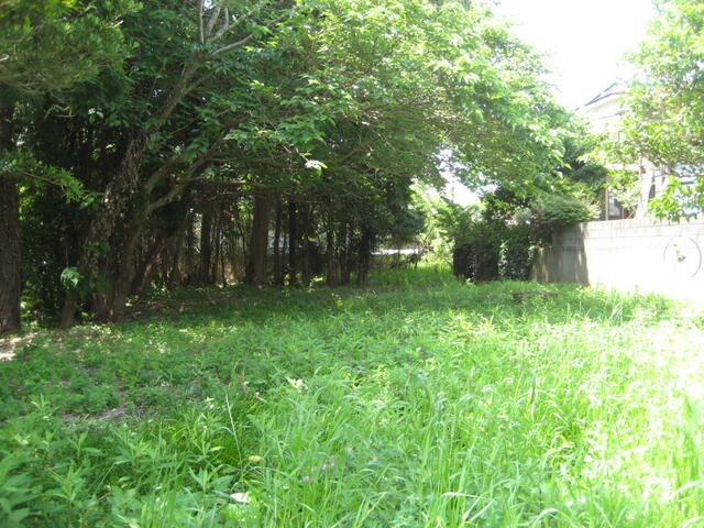 Land for Sale in Minamiboso City, Chiba - 437 sqm - Thumbnail 3