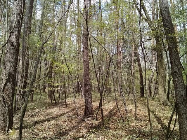 13,500 sqm Land for Sale in Hokuto City, Yamanashi - Thumbnail 4