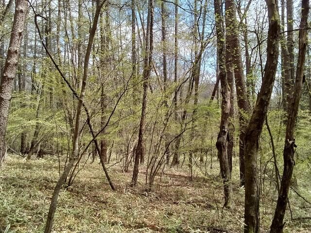 13,500 sqm Land for Sale in Hokuto City, Yamanashi - Thumbnail 3
