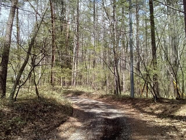 13,500 sqm Land for Sale in Hokuto City, Yamanashi - Thumbnail 2