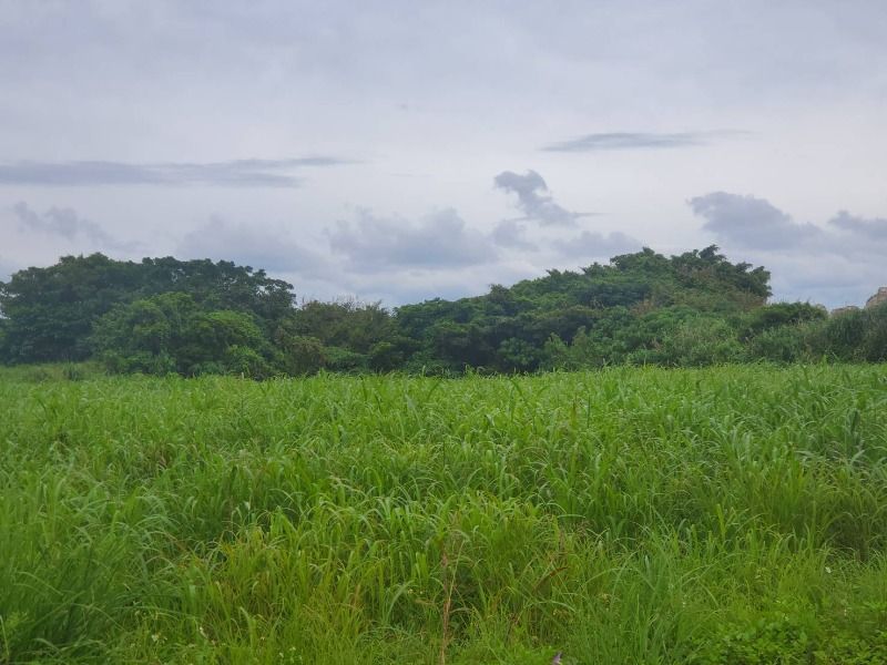 2,430 sqm Development Land for Sale in Yaese, Okinawa - Thumbnail 4