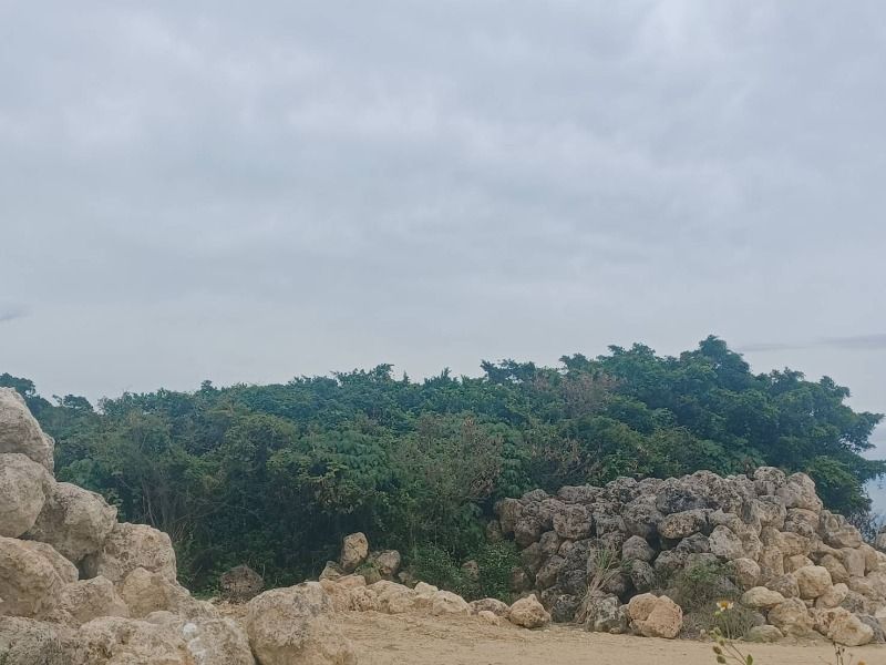 2,430 sqm Development Land for Sale in Yaese, Okinawa - Thumbnail 2