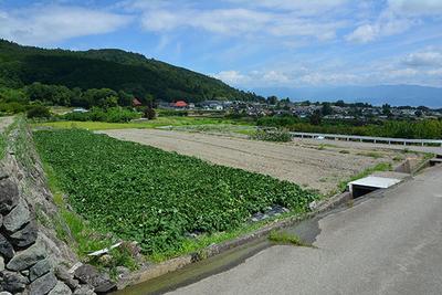House with farmland and workshop overlooking Mt. Fuji and the Kofu Basin: Villa Real Estate For Sale Hometown Information Center: Nationwide Country Living Property Data — Image 3, Minami Alps, Yamanashi