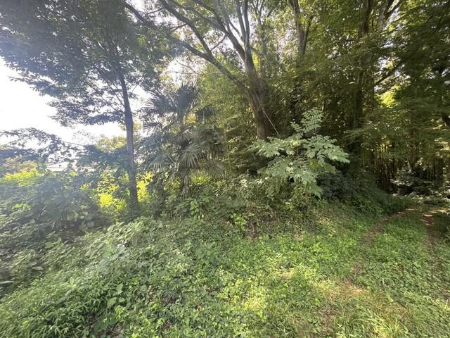 922 sqm Residential Land for Sale in Maebashi, Gunma - Thumbnail 4