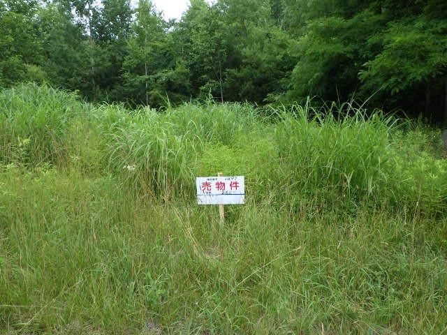 Land for Sale in Minami-ku, Sapporo, Hokkaido - Thumbnail 4