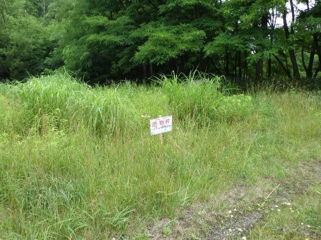 Land for Sale in Minami-ku, Sapporo, Hokkaido - Thumbnail 3