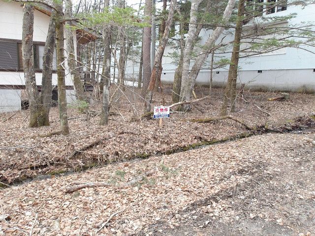 Land for Sale in Tsumagoi Village, Gunma - 235 sqm - Thumbnail 3
