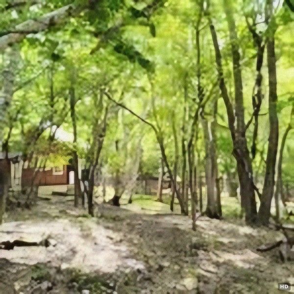 300-Tsubo Highland Land for Sale in Nagano's Kawakami Village - Thumbnail 4