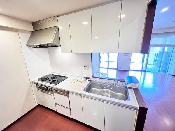 Tokyo Terrace 2LDK Condo in Setagaya, 81.23 sqm - Thumbnail 4