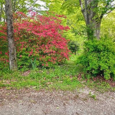 Traditional 1DK House on 330 sqm Land with Private Well in Nasu, Tochigi — Image 11, Nasu, Tochigi