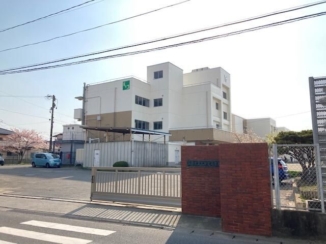 Land for Sale in Ishinomaki, Miyagi – 222.61 sqm - Thumbnail 3