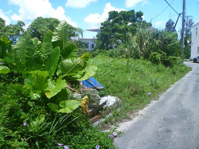 298 sqm Residential Land for Sale in Onna Village, Okinawa - Thumbnail 4