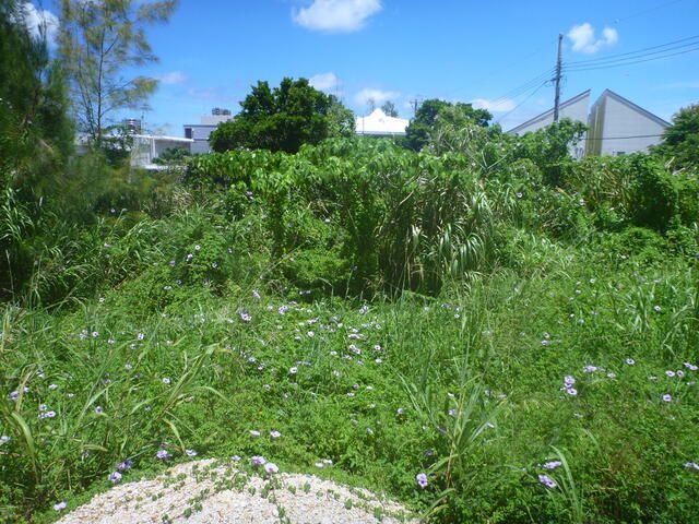 298 sqm Residential Land for Sale in Onna Village, Okinawa - Thumbnail 2