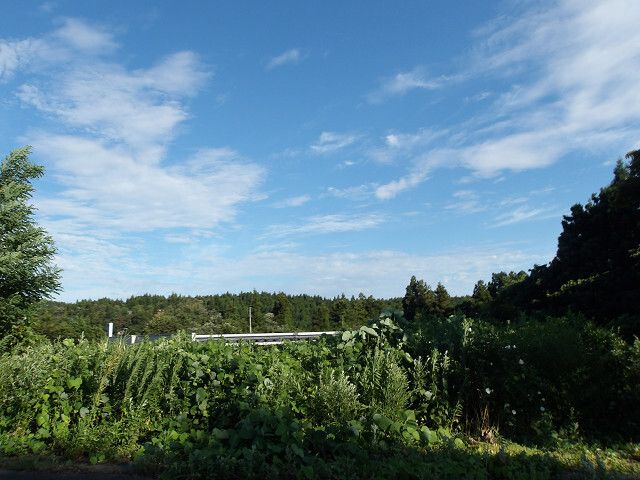 264 sqm Land for Sale in Agano City, Niigata - Thumbnail 2