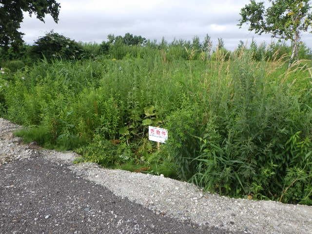 Land for Sale in Nakanuma-cho, Higashi-ku, Sapporo, Hokkaido - 161 sqm - Thumbnail 2