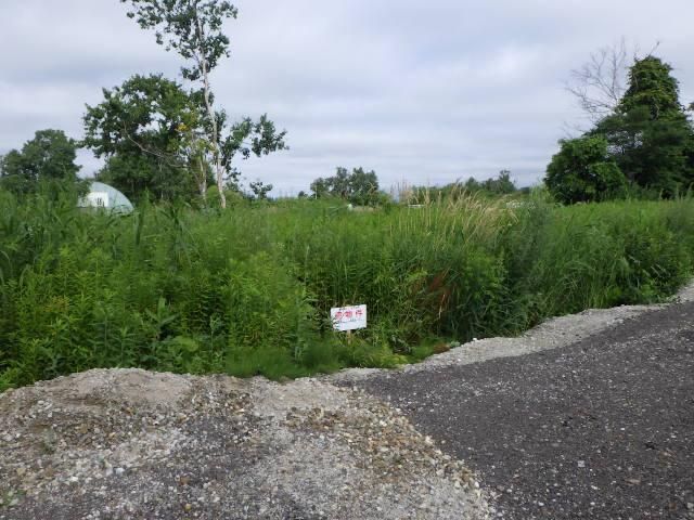 Land for Sale in Nakanuma-cho, Higashi-ku, Sapporo, Hokkaido - 161 sqm - Thumbnail 4