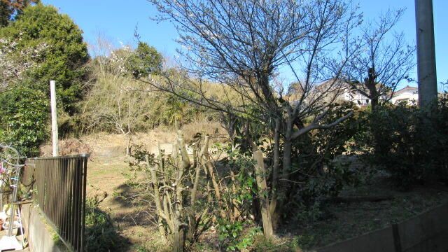 Flat Residential Land for Sale in Hokota City, Ibaraki - Thumbnail 3
