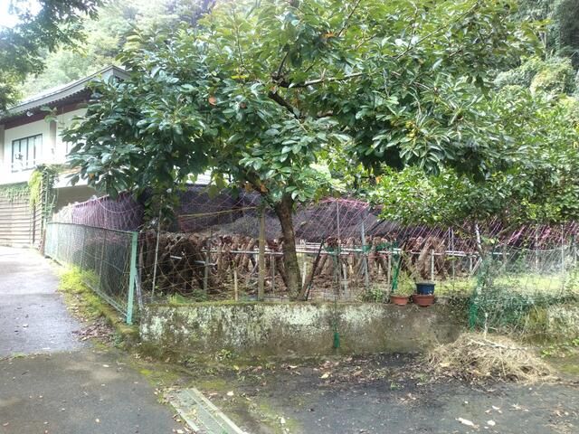 1960 6DK House on 666 sqm Land with Shiitake Farm in Bungoono, Oita - Image 11