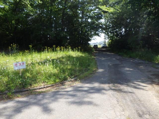 Land for Sale in Nasushiobara, Tochigi - 199 sqm Corner Lot - Thumbnail 3