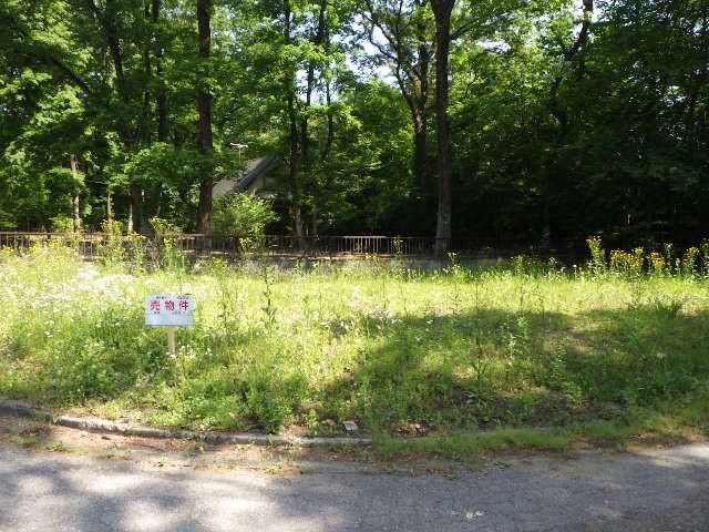 Land for Sale in Nasushiobara, Tochigi - 199 sqm Corner Lot - Thumbnail 4